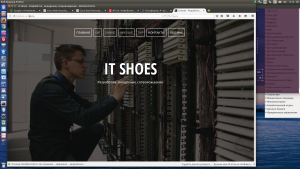 Отчёт от 7216 за Инфобизнес / WordPress