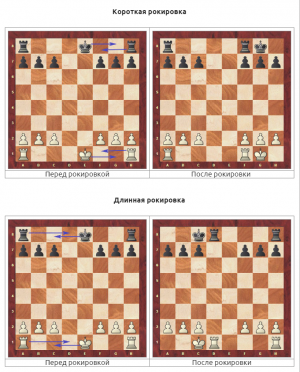 7238. Константин
