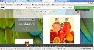 Отчёт от 7486 за Инфобизнес / WordPress