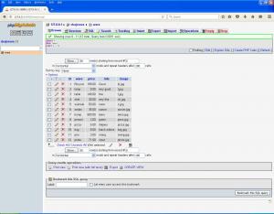 Отчёт от 7486 за Интернет-магазин / Установка EasyPHP