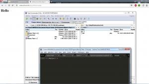 Отчёт от 7541 за Морской флот / Серверный флот - FTP подключение
