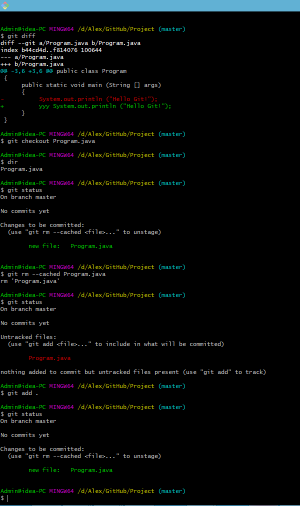 Отчёт от 7645 за Система Git / Checkout