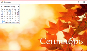 Отчёт от 7795 за Демо софт / Двенадцать месяцев