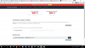Отчёт от 7795 за Интернет-магазин / Установка EasyPHP