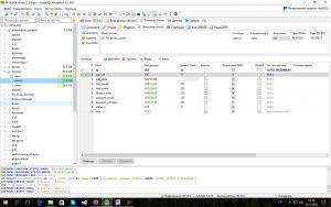 Отчёт от 791 за PHP Driver / Создание базы данных в HeidiSQL