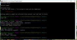 Отчёт от 791 за Singleton / Singleton - Config - Git init