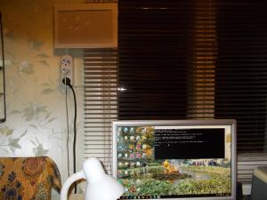 Отчёт от 791 за БД - Управление гостиницей / SQL запросы для создания Базы