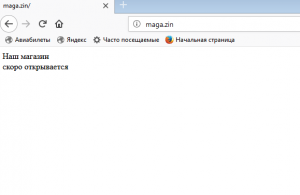 Отчёт от 791 за Интернет-магазин / Запуск РНР