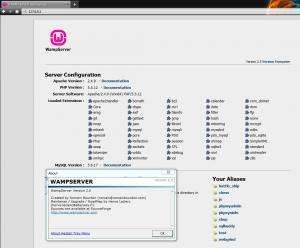 Отчёт от 8275 за НаноШахматы / PHP - Установка EasyPHP
