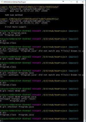 Отчёт от 8275 за Система Git / Deleted