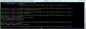 Отчёт от 8275 за Singleton / Singleton - Config - Git init