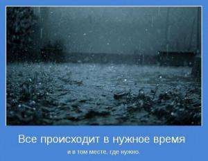 Отчёт от 8275 за Facade / Facade - Motivator - Program