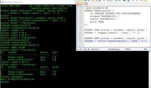 Отчёт от 8275 за База SQLite / SQLite - Самостоятельная работа
