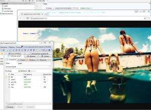 Отчёт от 8275 за PHP графика / Создание базы данных