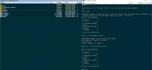 Отчёт от 8275 за SQL: ничего лишнего / Запуск mysql-консоли и создание базы данных