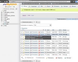 Отчёт от 8275 за Интернет-магазин / phpMyAdmin