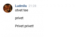 8361. Ludmila