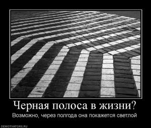Отчёт от 8380 за Бинарная жизнь / Смысл жизни