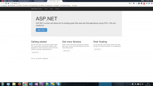 Отчёт от 8886 за Инфобизнес / Подготовка Visual Studio ASP.NET