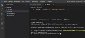 Отчёт от 9014 за Новогодний python / Анонимный Дед Мороз: об игре и заготовка программы