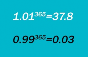 Отчёт от 9263 за Бинарная жизнь / ФИНАЛЬНЫЙ УРОК