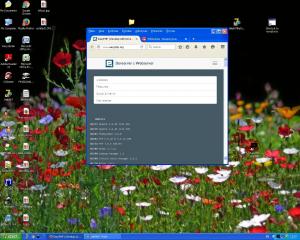 Отчёт от 9289 за Интернет-магазин / Установка EasyPHP