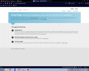 Отчёт от 9544 за Инфобизнес / Подготовка Visual Studio ASP.NET