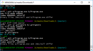 Отчёт от 9567 за Система Git / Ignore