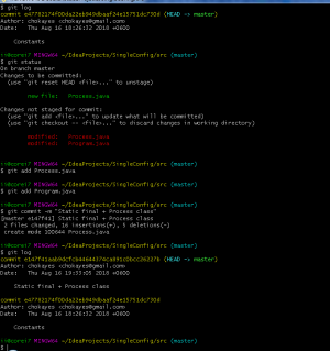 Отчёт от 9752 за Singleton / Singleton - Config - Git add