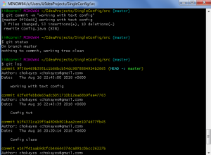 Отчёт от 9752 за Singleton / Singleton - Config - Git default