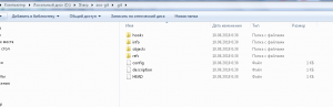 Отчёт от 9752 за Система Git / git init