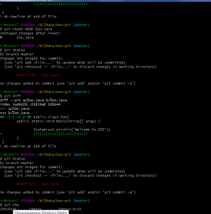 Отчёт от 9752 за Система Git / git commit reset diff