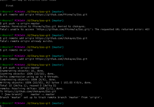 Отчёт от 9752 за Система Git / git push clone