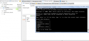 Отчёт от 9752 за Базовый ASP.ект / Установка сервера MySQL