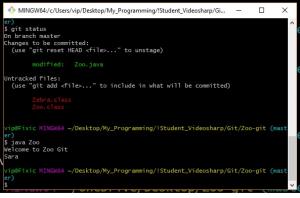 Отчёт от 9913 за Система Git / git ignore
