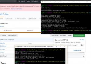 Отчёт от 9913 за Система Git / git push clone