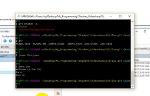 Отчёт от 9913 за Система Git / hippo git fetch pull