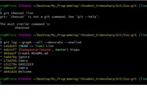 Отчёт от 9913 за Система Git / git branch lion