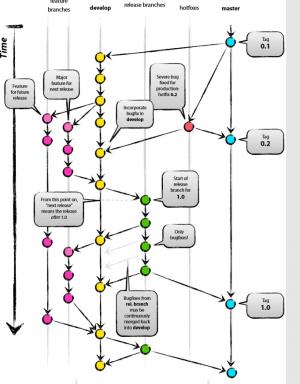 Отчёт от 9913 за Система Git / git branch lion