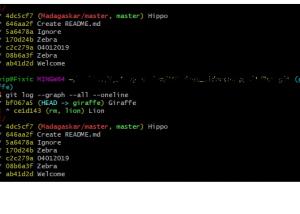 Отчёт от 9913 за Система Git / git branch giraffe