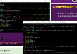 Отчёт от 9913 за Система Git / pingwin