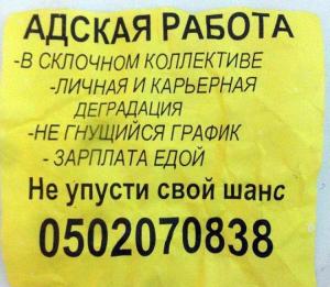 Отчёт от 9913 за API поиска работы / Функционал тестового стенда