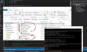 Отчёт от 9913 за ООП на Python3 / Параметры - в JSON