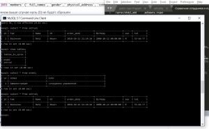 Отчёт от 9913 за Базовый ASP.ект / Установка сервера MySQL