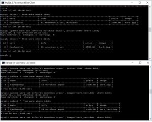 Отчёт от 9913 за Интернет-магазин / UPDATE товара