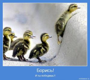 Отчёт от 9913 за Функционал / ФП - ФИНАЛЬНЫЙ УРОК