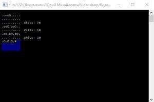 Отчёт от 9971 за Морской Бой / Олимпиада - Создание ИИ - Стратегия