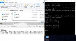 Отчёт от 9971 за Интернет-магазин / Всё готово для работы