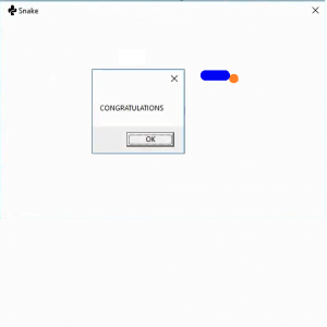 Отчёт от 9980 за Простой WPF  / WPF. Простая змейка. VIP урок. Длина тела.
