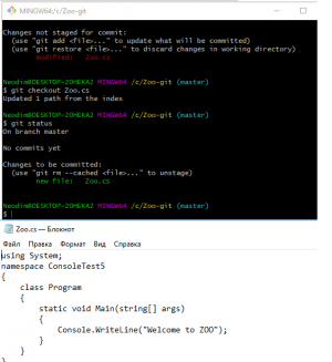 Отчёт от 9980 за Система Git / git add checkout